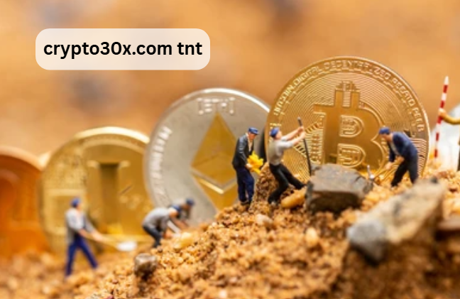 crypto30x.com tnt