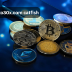 crypto30x.com catfish