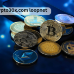 crypto30x.com loopnet
