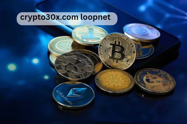 crypto30x.com loopnet